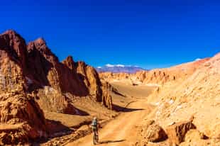 Explore the Atacama Desert by bike 