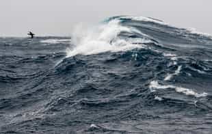 Cross the formidable Drake Passage in Antarctica