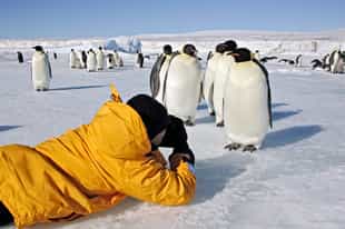 Enjoy photographic opportunities in Antarctica