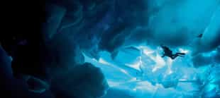 Dive down beneath Antarctica's glaciers