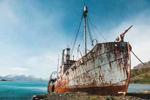 Visit Grytviken's old whaling station and museum 