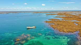 Snorkel the crystal clear waters of Lamu