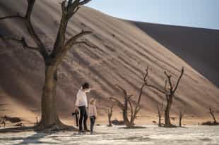 Take a trip to the Deadvlei and Big Daddy dune