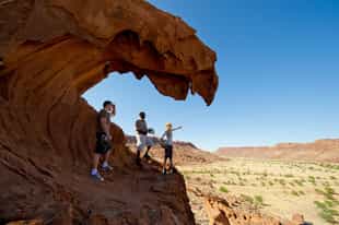 Discover Damaraland's flora and fauna on a walk