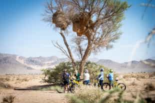Ride across the Sossusvlei landscape on a fat bike