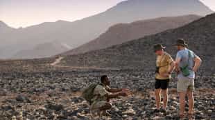 Learn about the flora and fauna in Sossusvlei