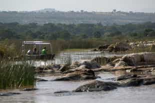 Boat past crocodiles on scenic Lake Chamo