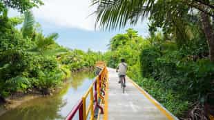 Explore the semi-jungle of Bang Krachao by bike