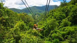 Zipline through the jungle of Chiang Mai