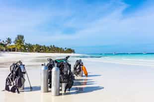 Go on a scuba diving adventure from Stone Town