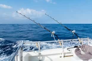 Catch your dinner deep sea fishing from Stone Town