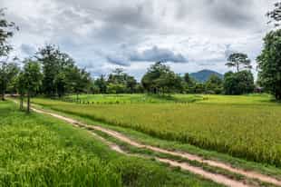 Explore the countryside of Siem Reap