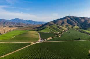 Go wine tasting in the Casablanca valley