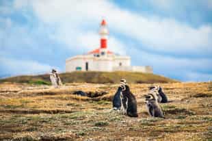 Take a boat trip to Magdalena & Marta Island