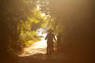 Explore the countryside of Hoi An by bike
