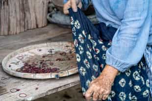 Learn the craft of indigo dyeing in Chiang Mai