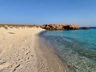 Snorkel in the waters of Daymaniyat Island, Muscat