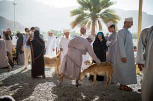 Explore the bustling souq of Nizwa near Muscat