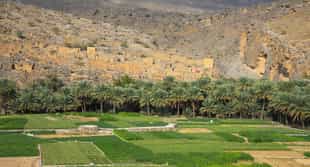 Visit the abandoned Persian ruins in Ghul, Muscat