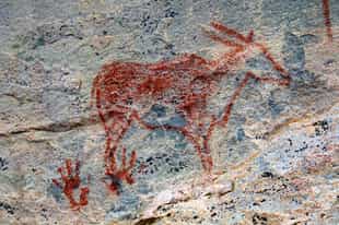 Explore the ancient rock art at Tsodilo Hills