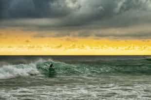 Learn how to surf the waves of Weligama
