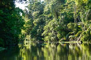 Admire the forest on a float trip in Arenal
