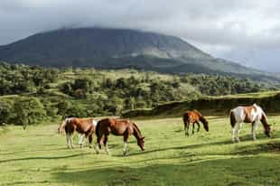 Take in the views of Arenal on horseback