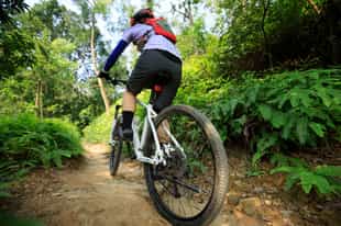 Mountain bike on forested roads below Arenal