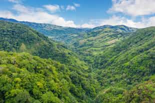 See spectacular views of Monteverde Cloud Forest