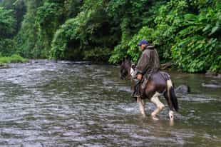 Go horse riding at a ranch in Manuel Antonio