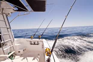 Cast a line out sportfishing on the Pacific