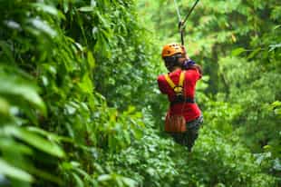Take a canopy tour zip lining through the trees
