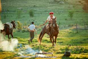 Visit an authentic gaucho ranch in Buenos Aires