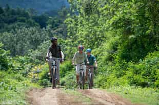 Explore Lake Manyara on a mountain bike