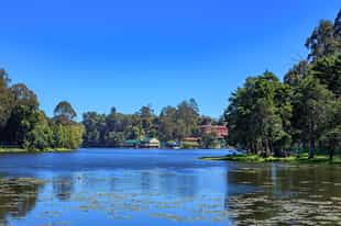 Visit the tranquil Kodaikanal Lake in Palani Hills