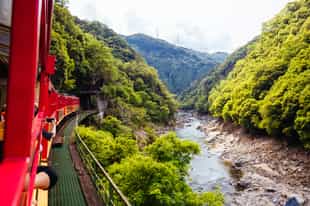 Take a trip on the Sagano Scenic Railway in Kyoto
