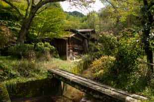 Walk the ancient highways on the Nakasendo Trail