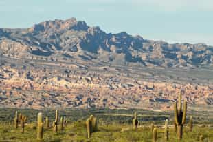 Explore Los Cardones National Park