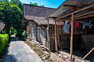 Take a tour of Candirejo village life by horsecart