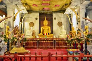 Visit the Temple of the Sacred Tooth Relic, Kandy