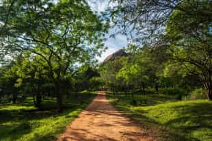 Explore the walking trails in Mihintale