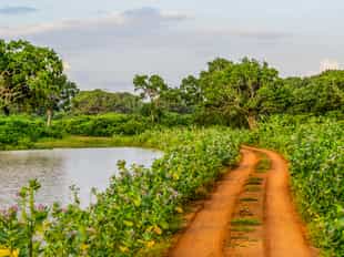 Cycle through the rural villages around Galle