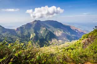 Explore the beauty of Horton Plains National Park