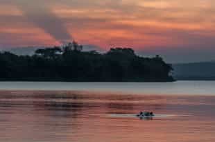 Take a boat cruise out on Lake Mburo
