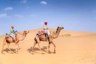 Go on a camel safari in the Thar Desert
