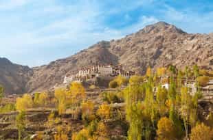 Visit the historic sites of Alchi in Ladakh