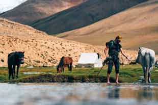 Go trail riding through the Ladakh mountains 