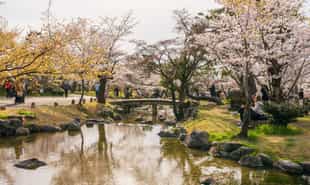 Visit the green oasis Maruyama Park in Sapporo