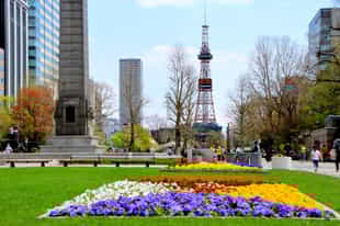 Take a stroll around Odori Park in Sapporo