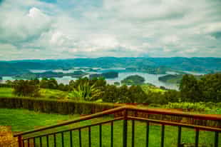 View and nature painting